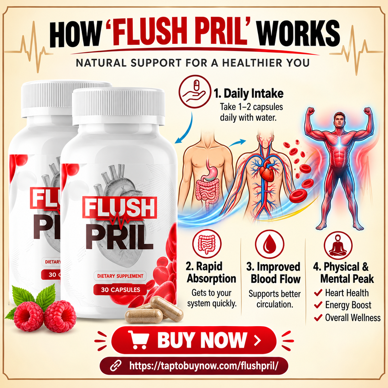 Seller's 'How FlushPril works' promotional graphic